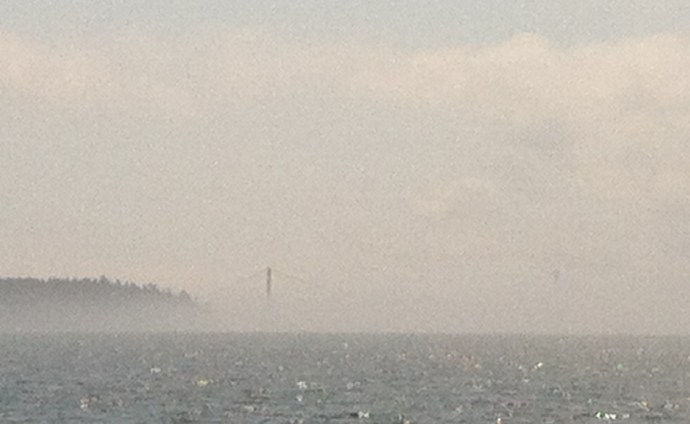 Somewhere in that soup, a suspension bridge spans Eggemoggin Reach just east of Buck's Harbor and that's where we're headed.