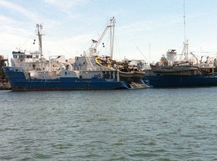 Three of the dozen or more menhaden boats that work the Bay out of Reedville.