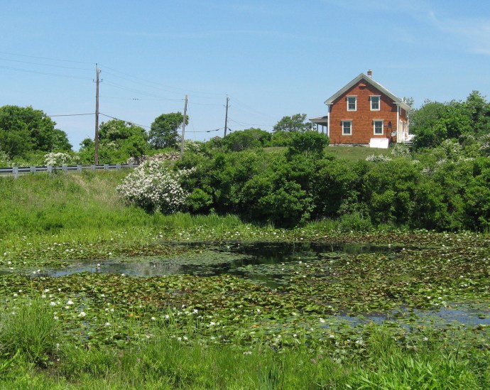 Though surrounded by salt water, there are dozens of fresh water ponds all around the island.