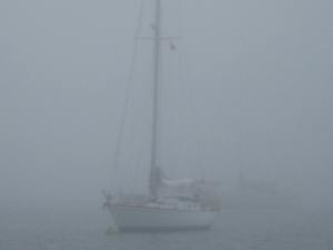 Neighbors remained but the shores of New Harbor disappeared overnight.