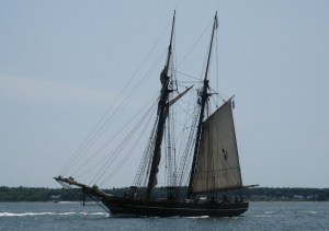 The replica Amistad passed in Hog Island Channel, tall ship #7 seen so far.
