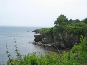The ravages of Sandy could not diminish the spectacular views along Newport's Cliff Walk.