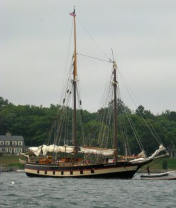 Though not seen under sail, her sails were seen.