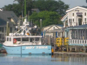 The reality series "Wicked Tuna" features the crew of Hot Tuna. 