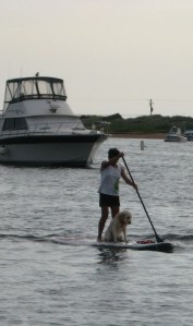 Yes, that is a Goldie-mix along for the ride.