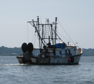 A slow-moving trawler leaves no wake at all.