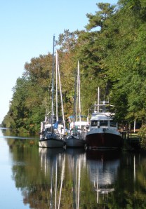 Steadfast got squeezed at the Welcome Center. 