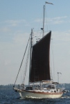 Tanbark sails seem to suit the schooner Adventure.