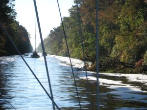 Steadfast follows the foam trail left by Modaki and Snowbird.
