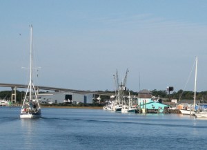 They're all business under the Holden Beach Bridge.