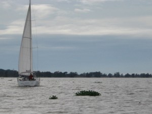A Jeanneau 40 wends through the Waccamaw weeds.
