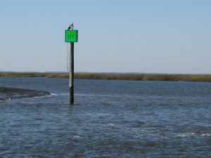 Mud keeps creeping toward the channel at G177