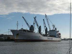 A cargo ship loads at the Smurfit Paper wharf.