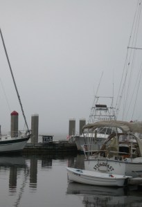 At one point, the waterway just disappeared.
