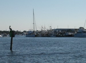 The view entering Manatee Pocket.