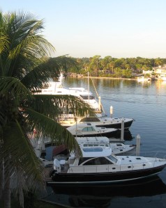 It's hard to spot Steadfast but she's in there somewhere.