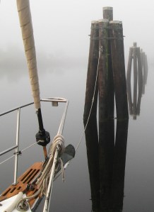 Not mammals, not Miami's but "dolphins" nonetheless.