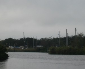 Way up the Caloosahatchee, no place to sail, but lots of sticks!