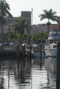 Steadfast rests at ease under the palms.