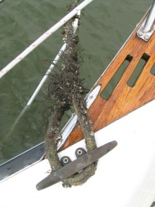 Easy to see how a boat hook got snagged on this pennant!