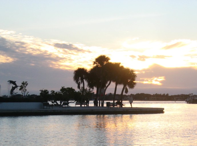 Palms on Island Park silhouetted by the setting sun.
