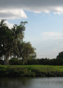 The sweet smell of citrus blooms fills the air.