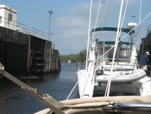 A big power cat leads the way out the St. Lucie lock.