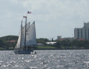 The schooner Lily takes tourists on day cruises along the Stuart waterfront.